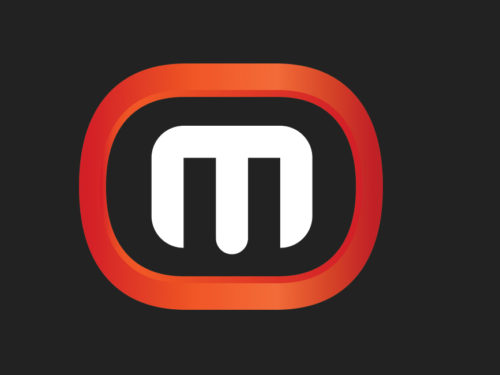 metalocaima_logo